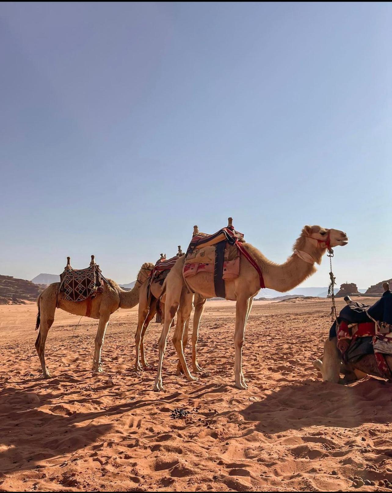 Wadi Rum Desert Camp Ad Disah Exterior photo