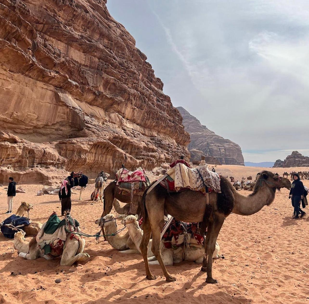 Wadi Rum Desert Camp Ad Disah Exterior photo