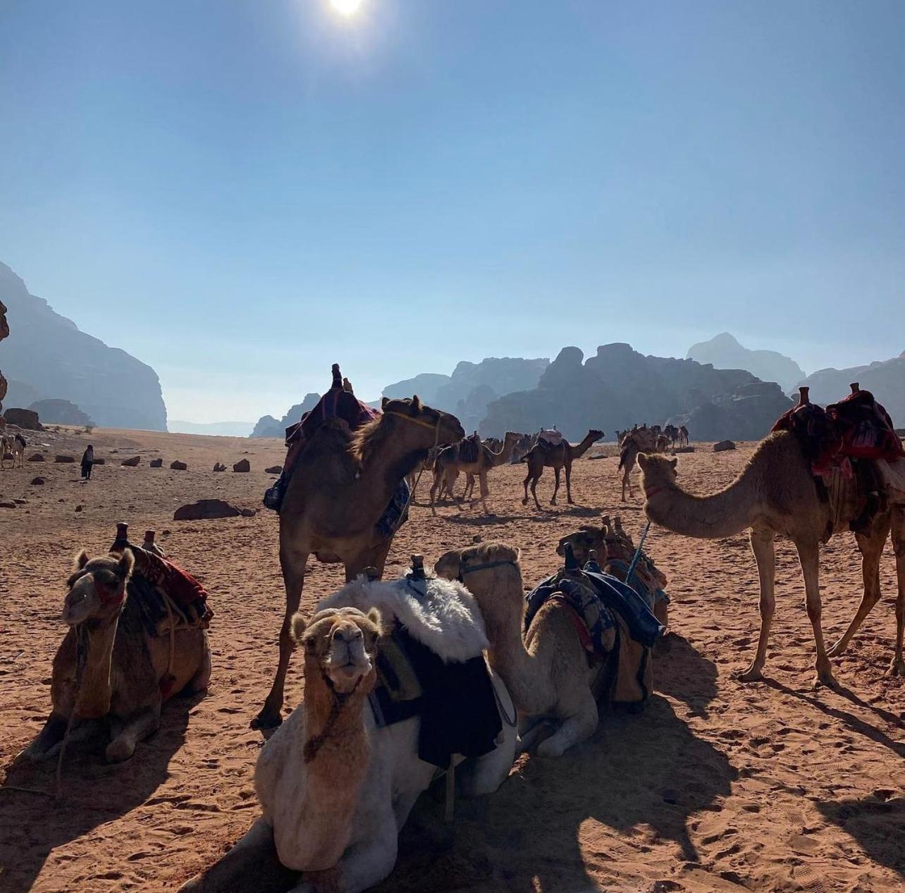 Wadi Rum Desert Camp Ad Disah Exterior photo