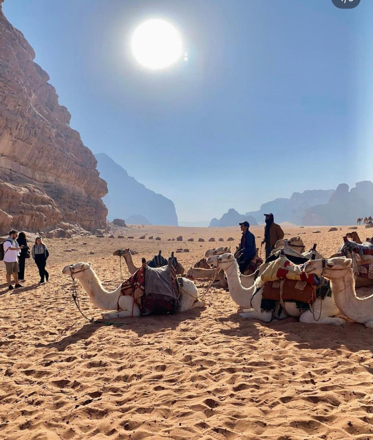 Wadi Rum Desert Camp Ad Disah Exterior photo